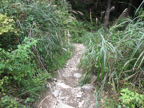 20150929hike (282)